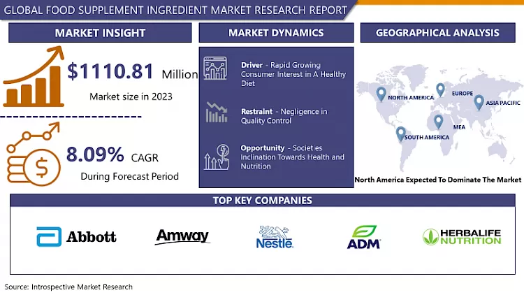 Food Supplement Ingredient Market - In Depth Insights & Analysis (2024-2032)