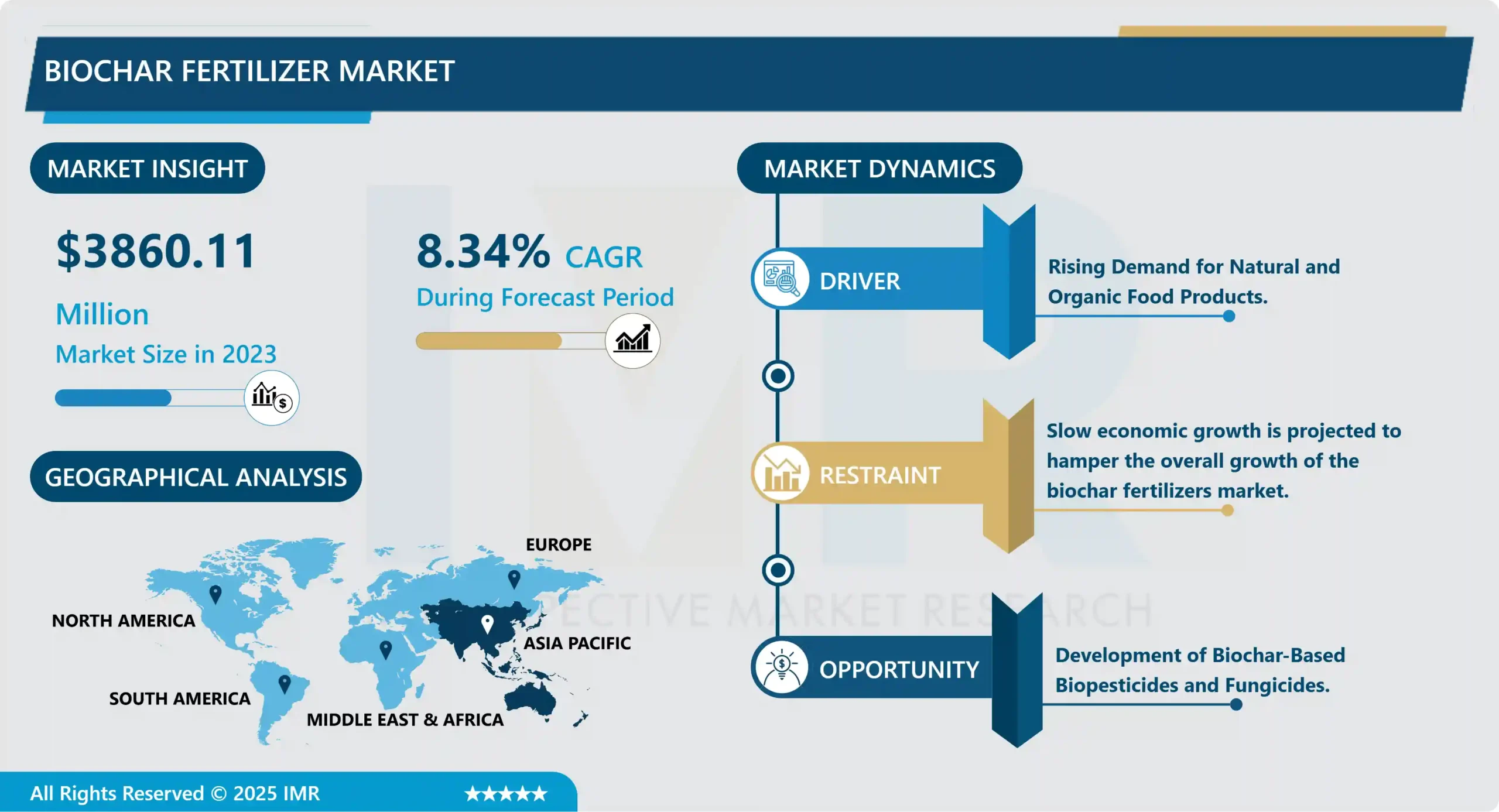 Biochar Fertilizer Market - In-Deep Analysis Focusing on Market Share