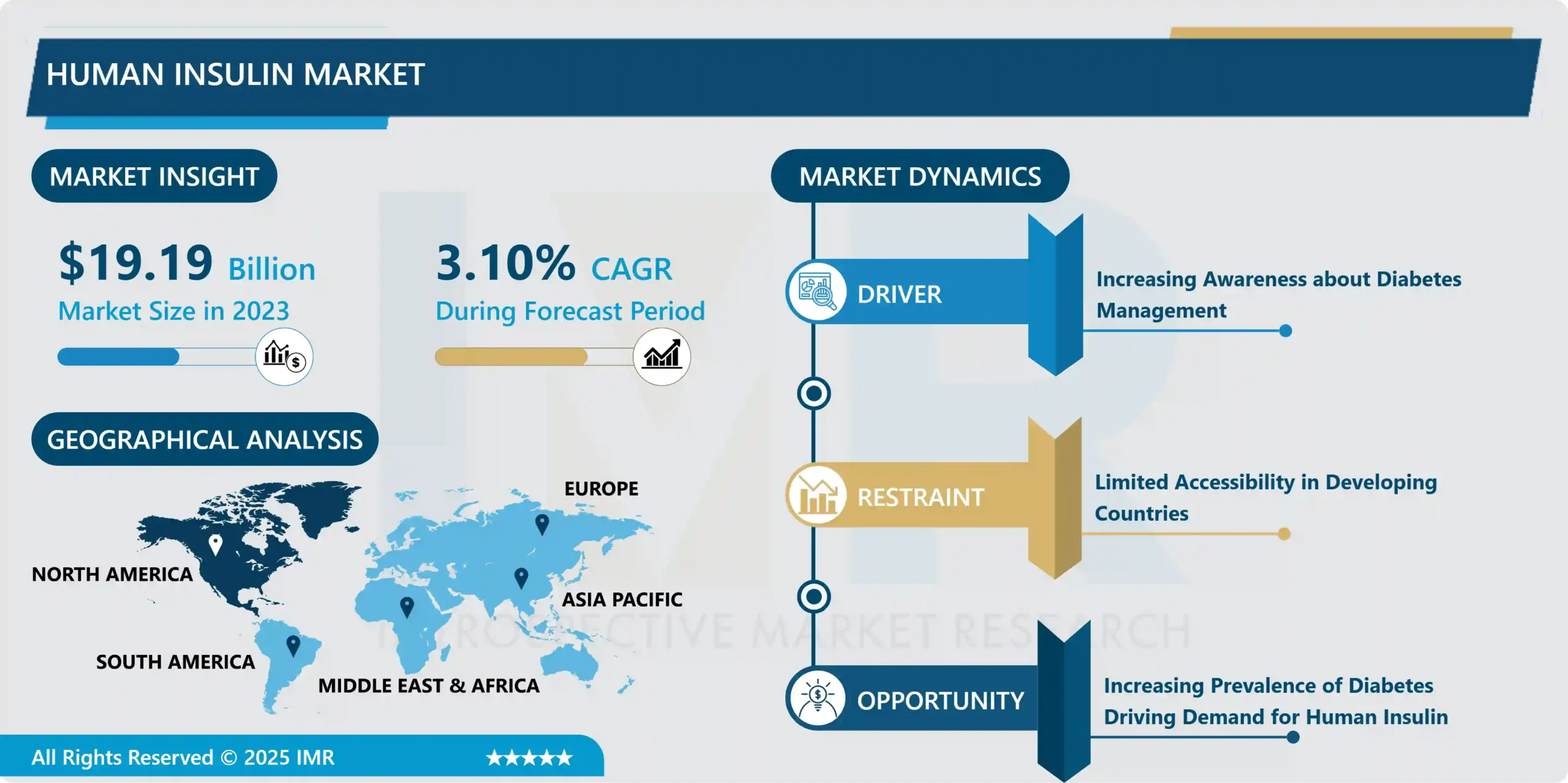Human Insulin Market - Overview and Potential Growth, Size