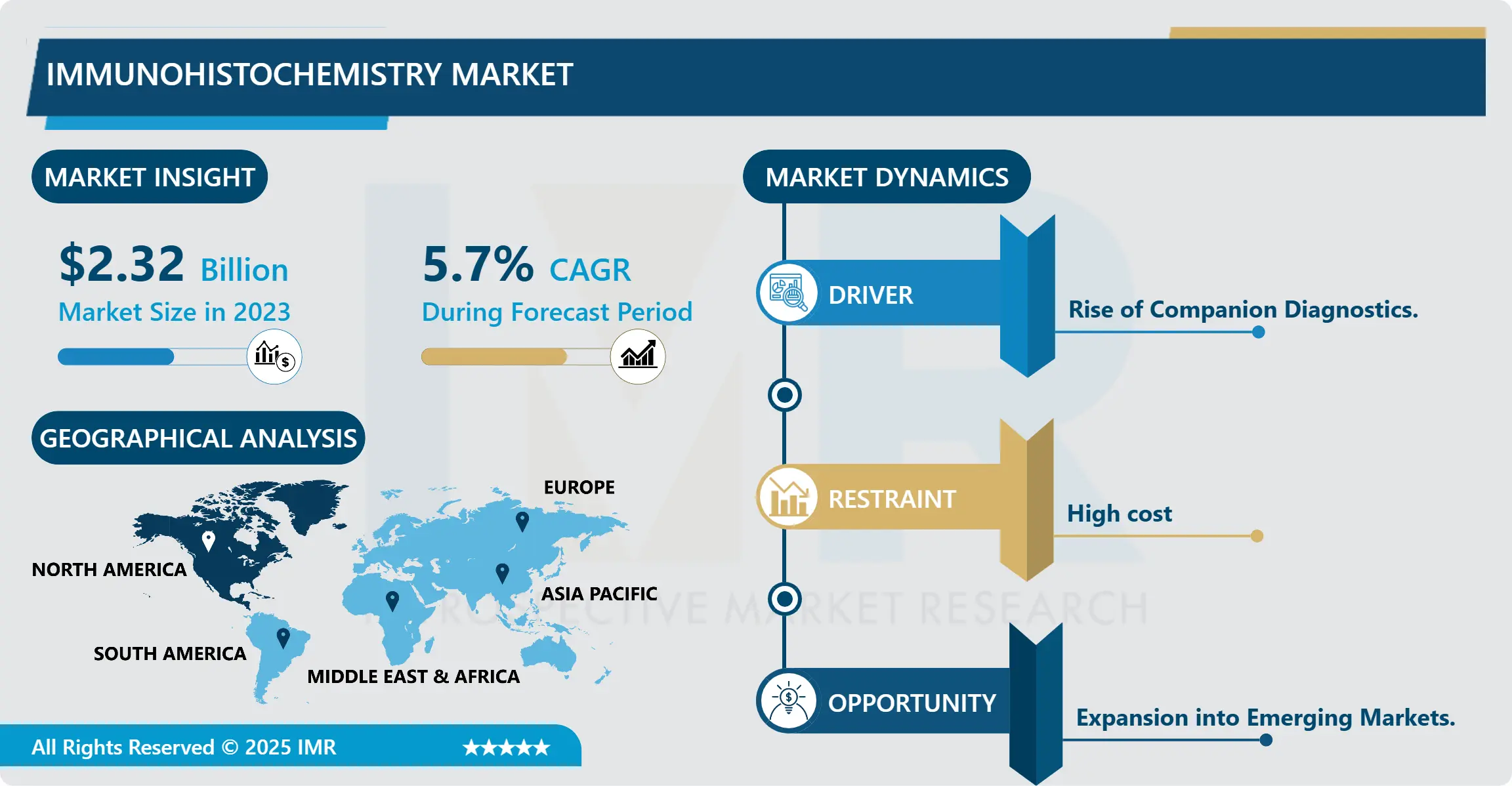 Immunohistochemistry Market - Latest Advancement & Future Trends (2024-2032)