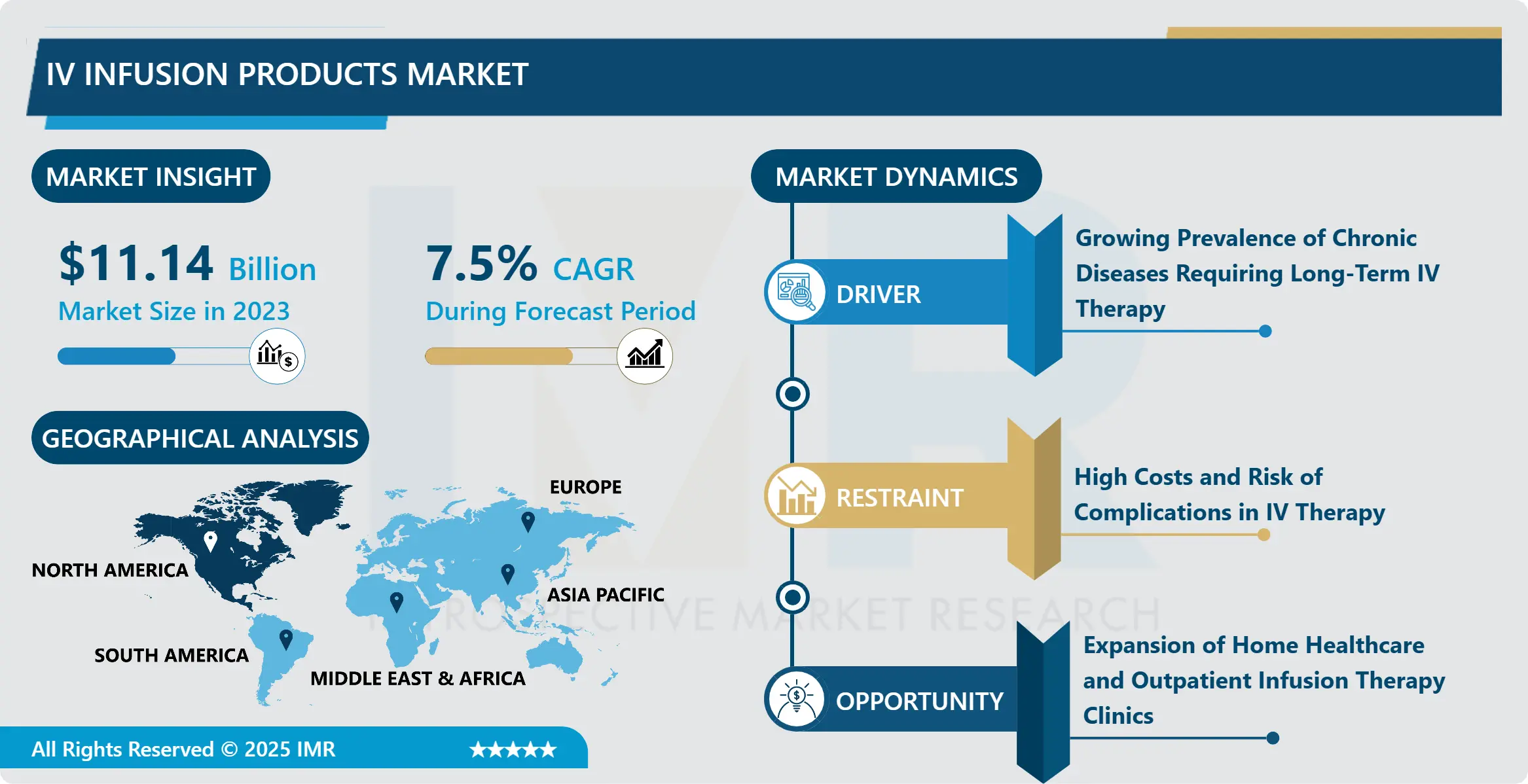 IV Infusion Products Market Growth Analysis and Forecast (2024-2032)