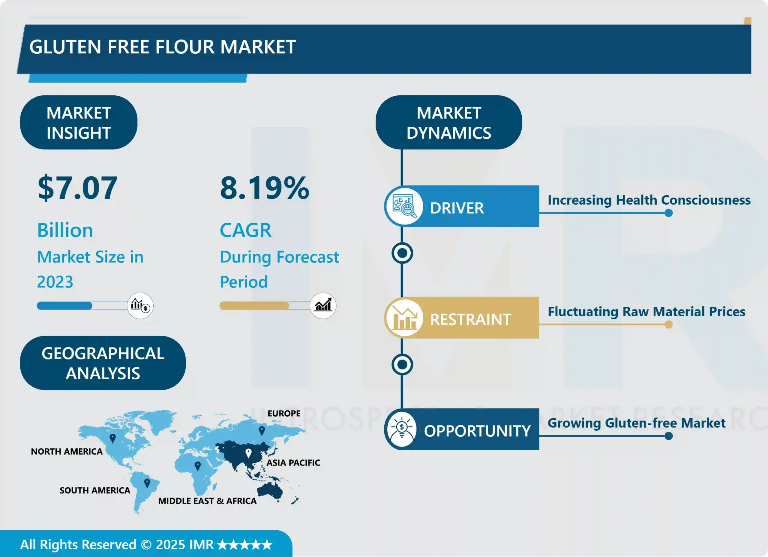 Gluten Free Flour Market - Analysis Focusing on Market Share