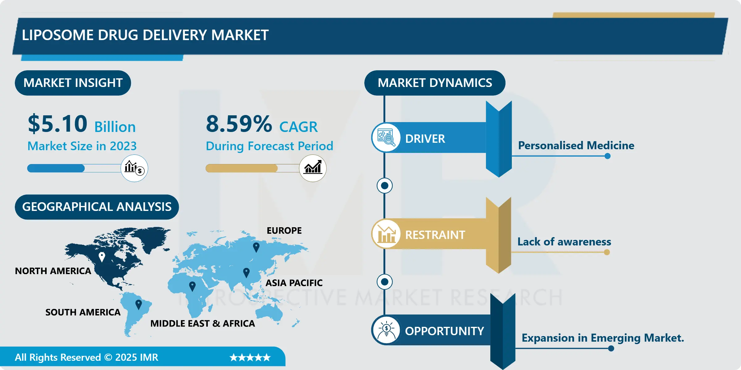 Liposome Drug Delivery Market | Comprehensive Study Report (2025-2032)