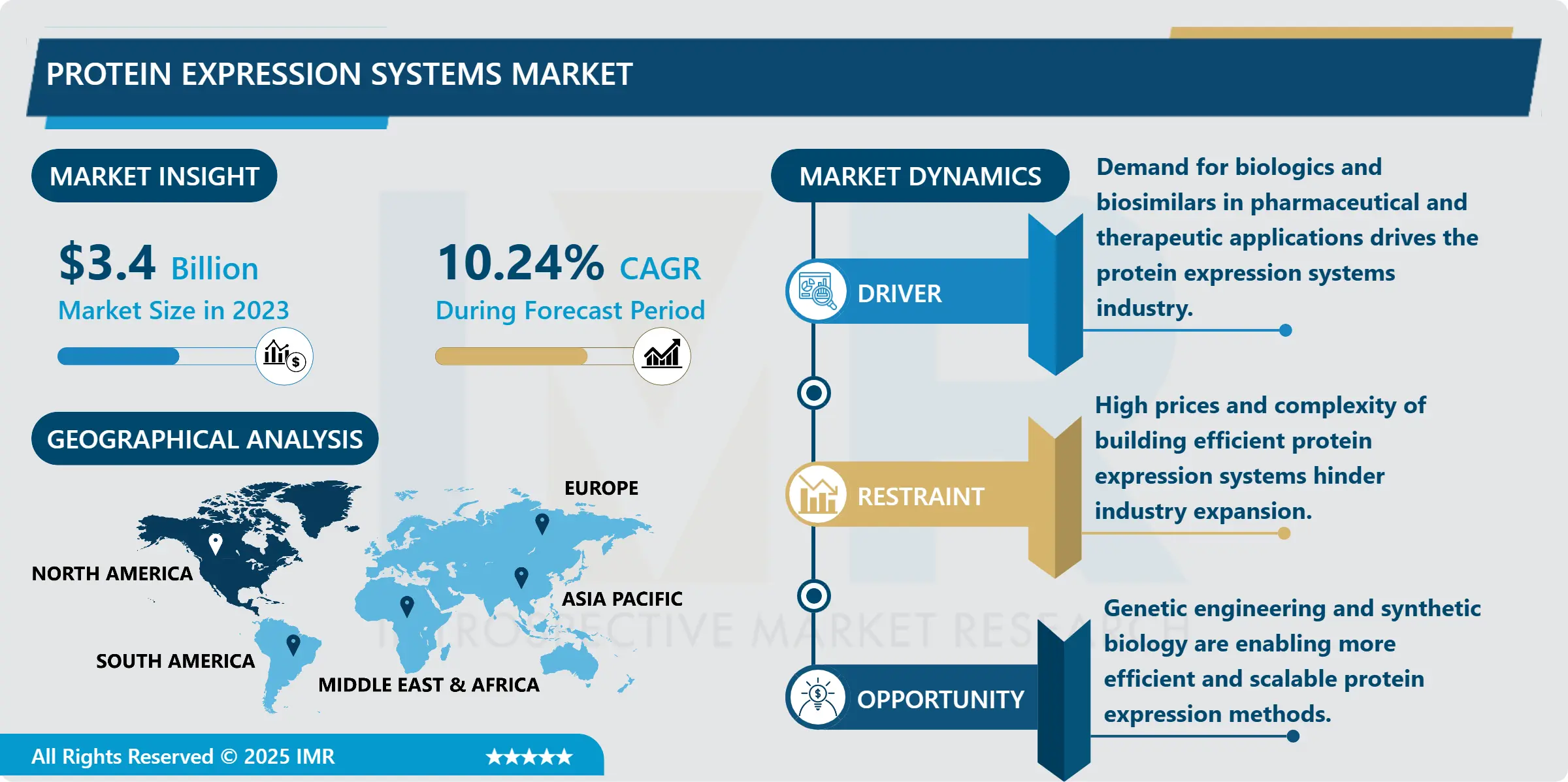 Protein Expression Systems Market - Size & Upcoming Industry Trends (2024-2032)