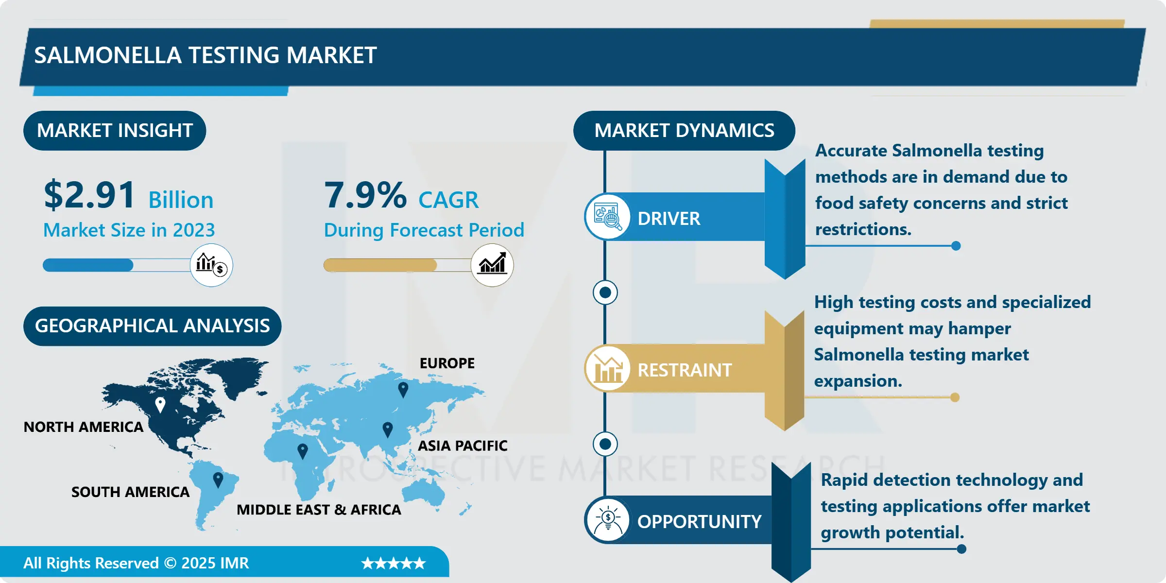 Salmonella Testing Market - Trends, Size & Outlook (2024-2032)