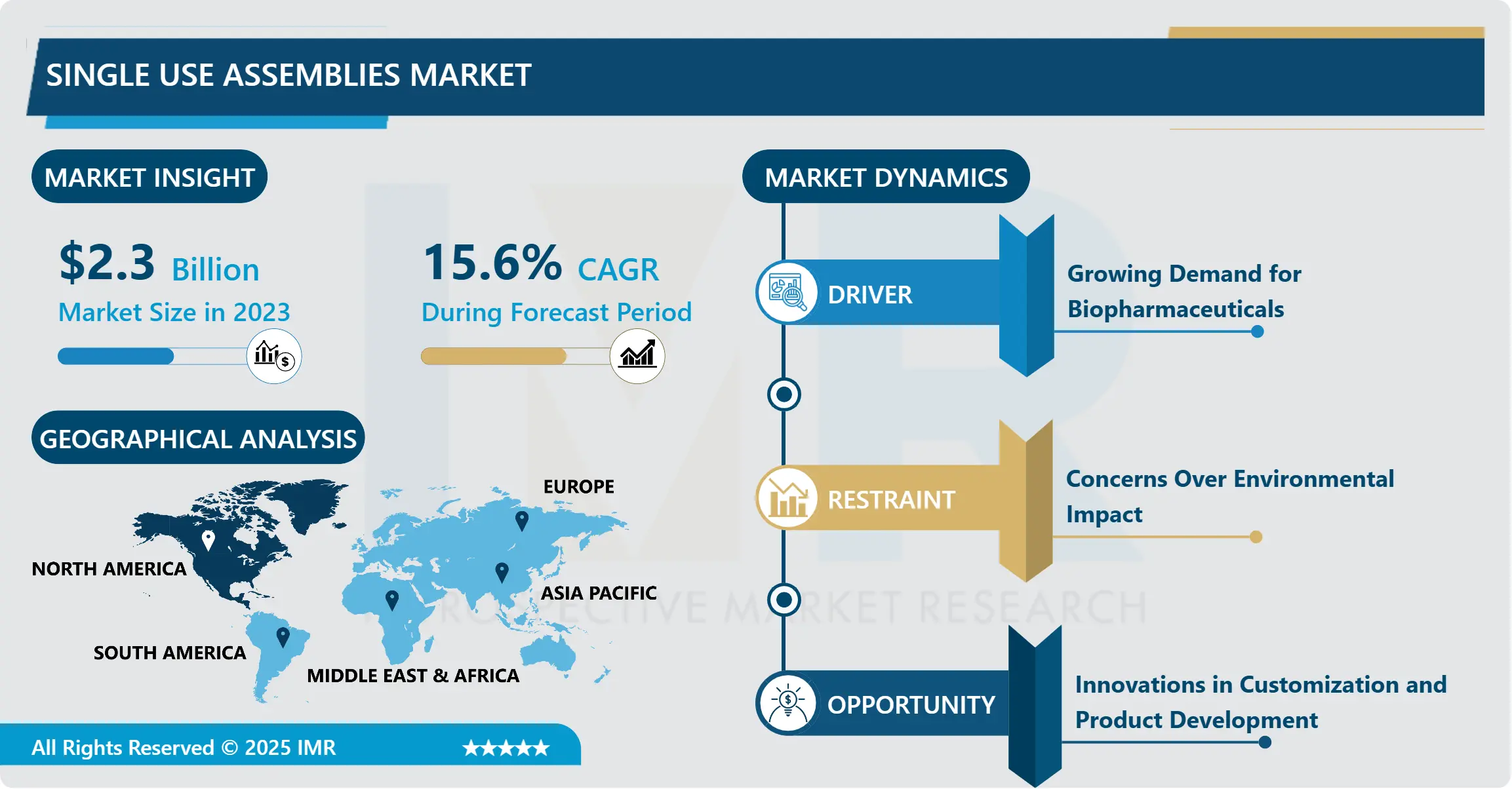 Single Use Assemblies Market- Size & Emerging Trends (2024–2032)