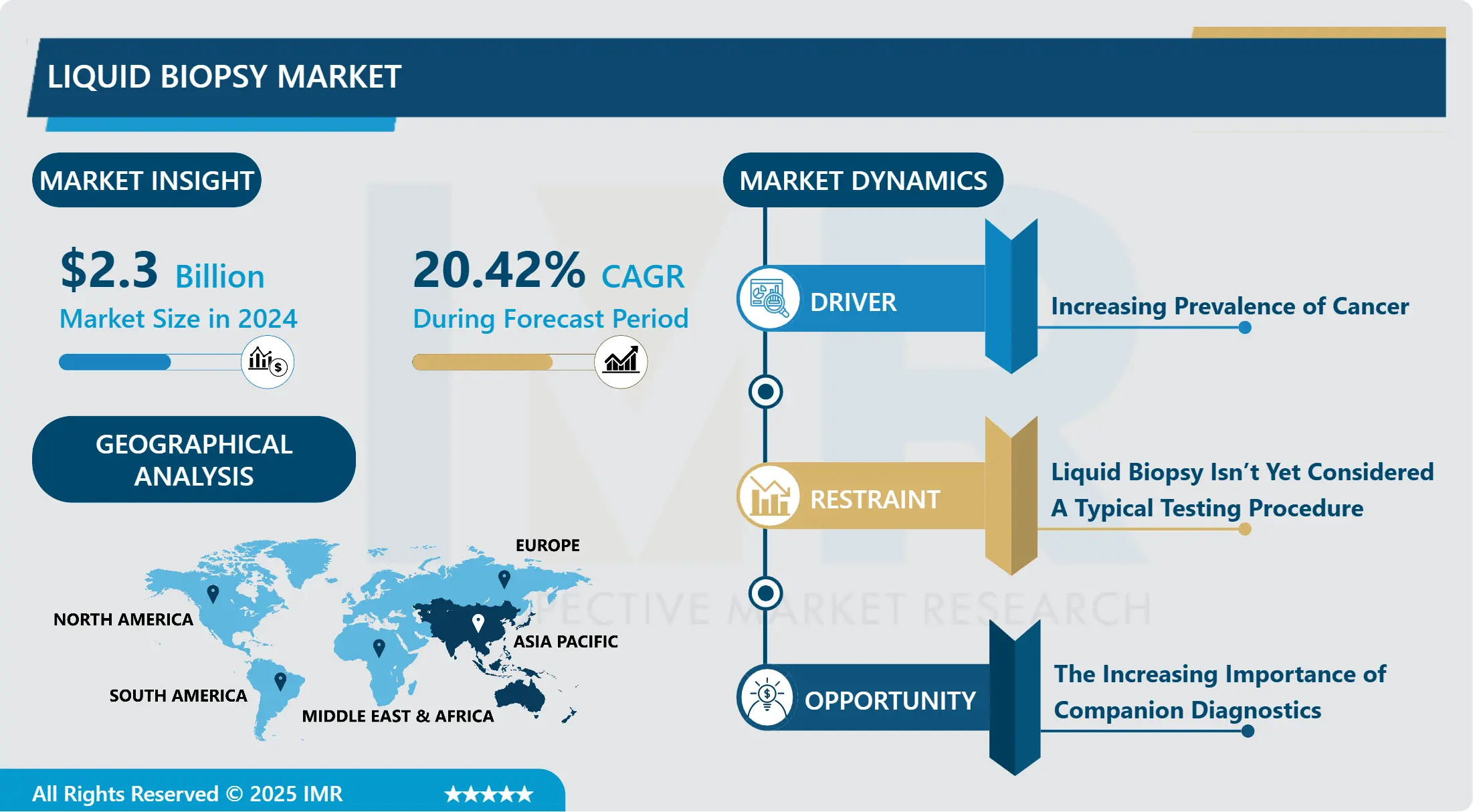 Liquid Biopsy Market in depth analysis by size