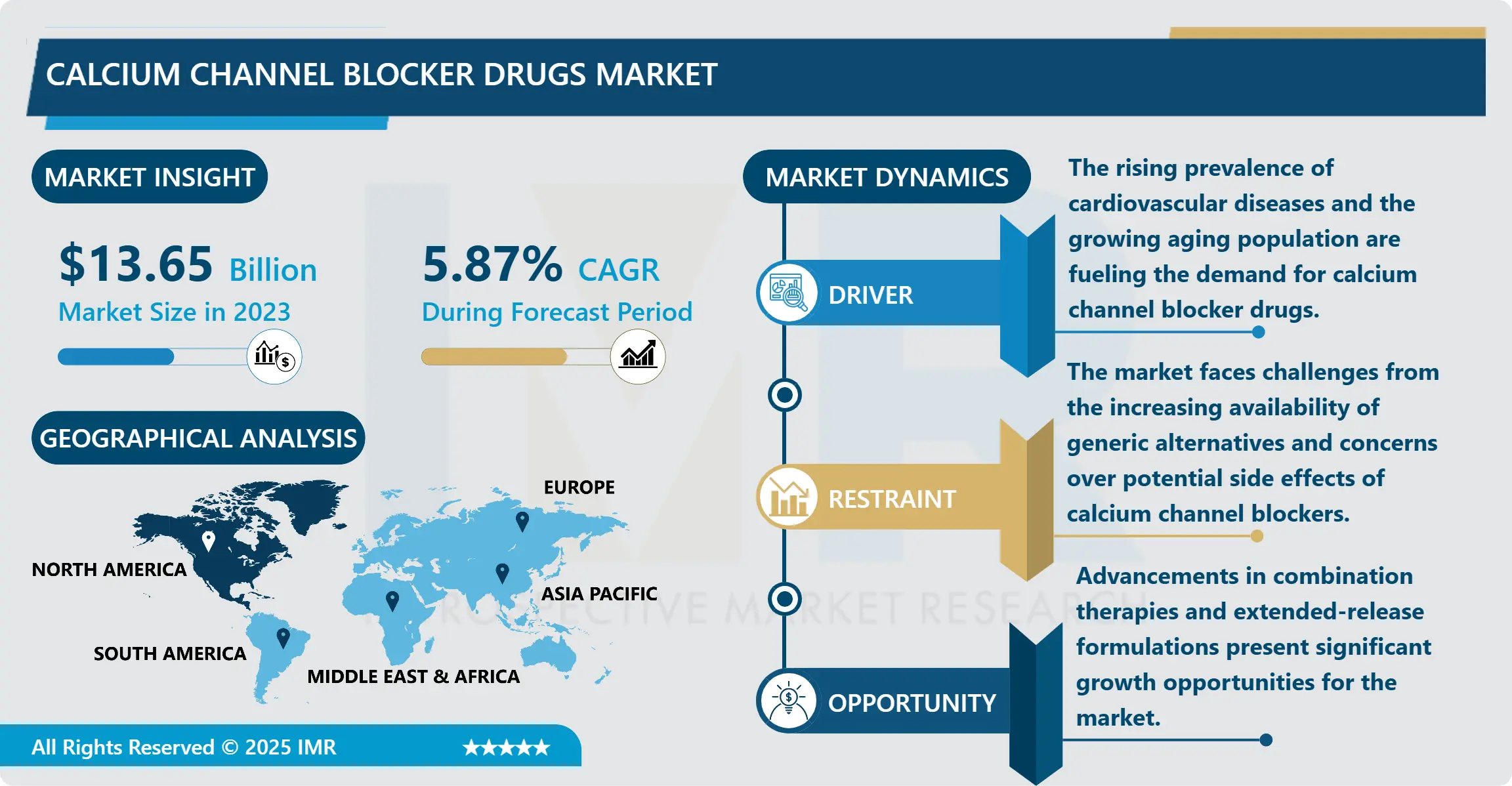 Calcium Channel Blocker Drugs Market - Insights for Business Growth Report 2024-2032