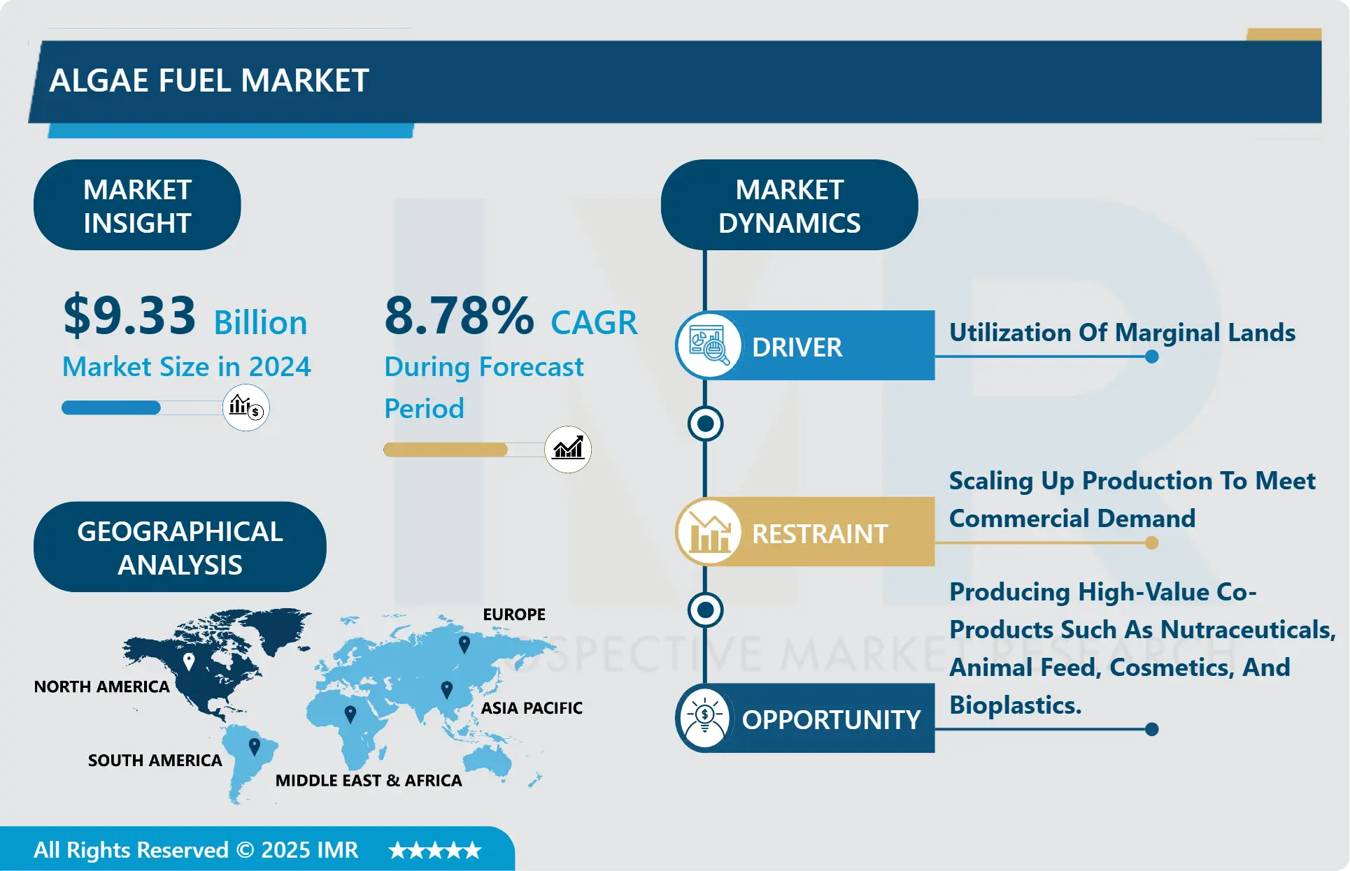 Algae Fuel Market - In Deep Analysis Focusing on Market Share