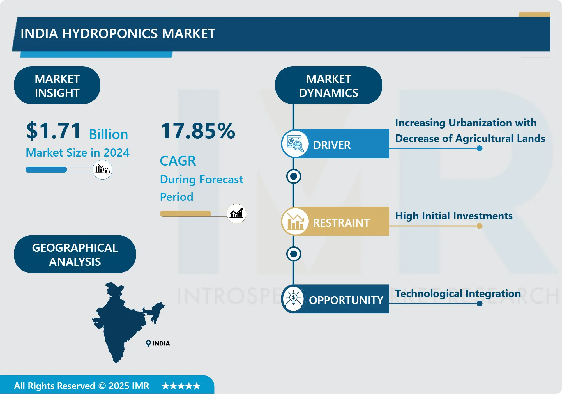 India Hydroponics Market - Latest Analysis and Forecast (2025-2032)