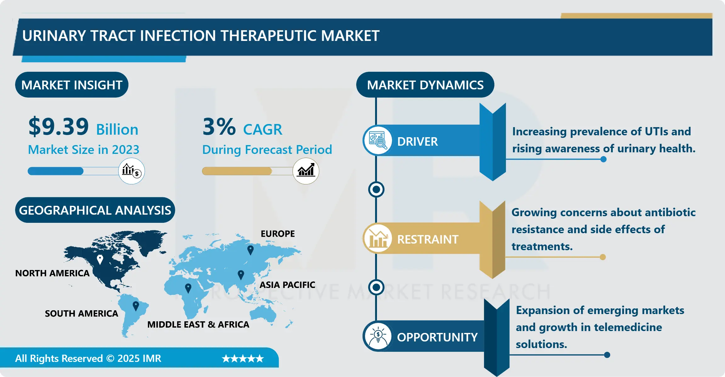 Urinary Tract Infection Therapeutic Market - Insights & Analysis