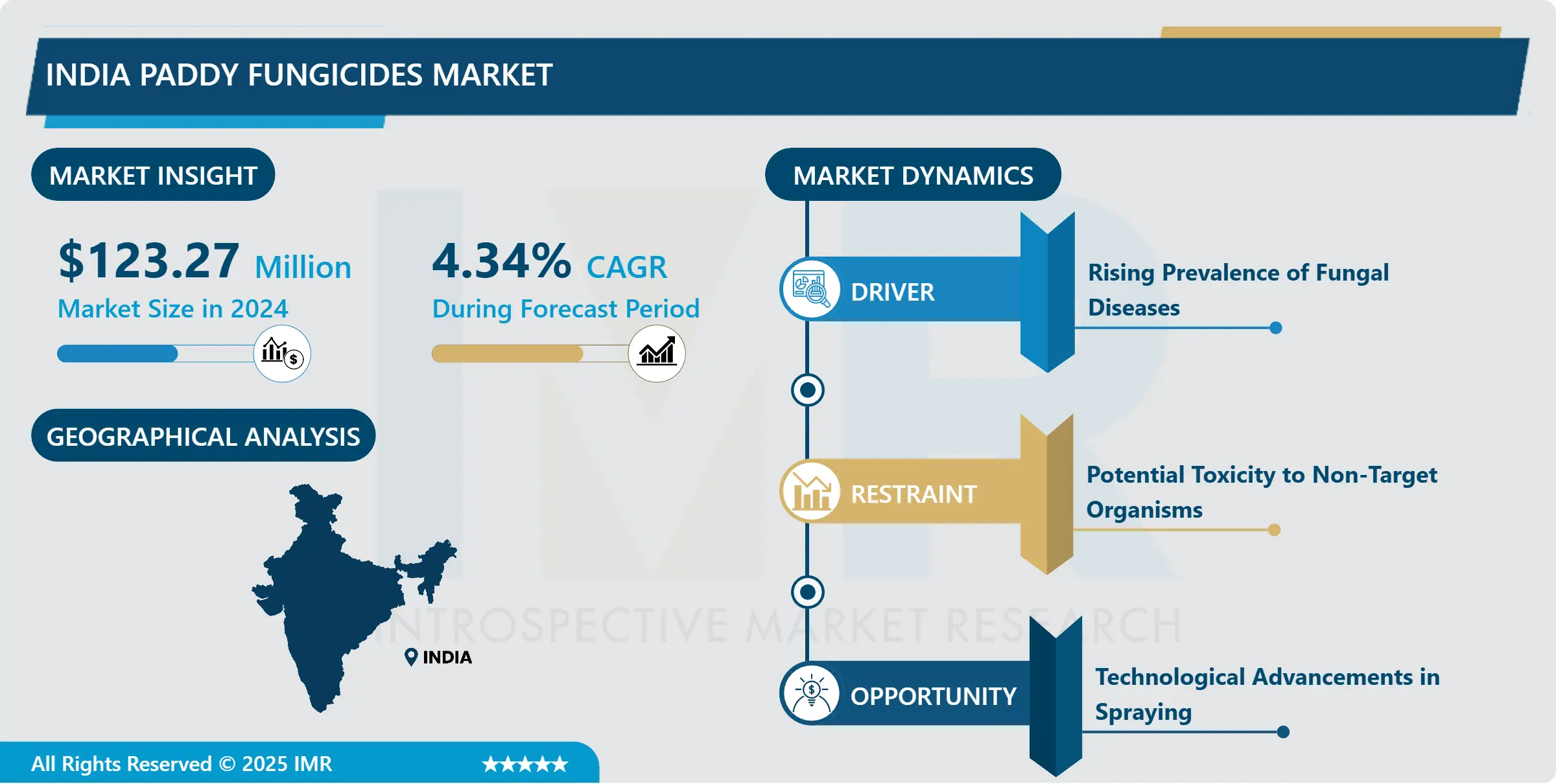 India Paddy Fungicides Market-Latest Analysis and Forecast (2025-2032)