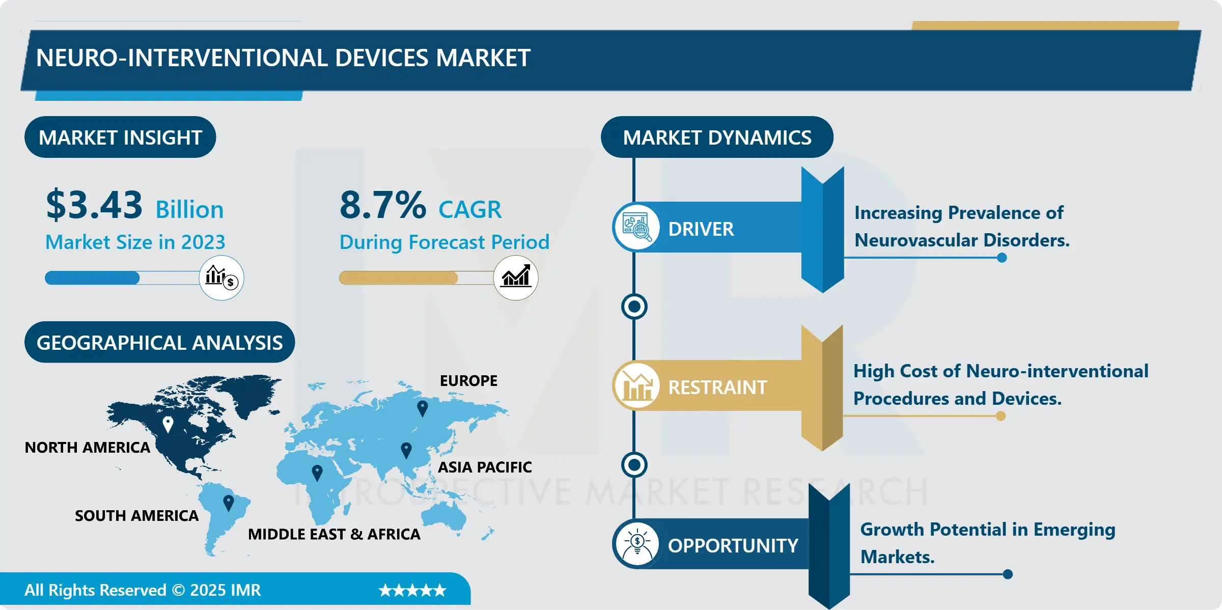 Neuro interventional Devices Market Analysis, Share, and Future Forecast (2024-2032)