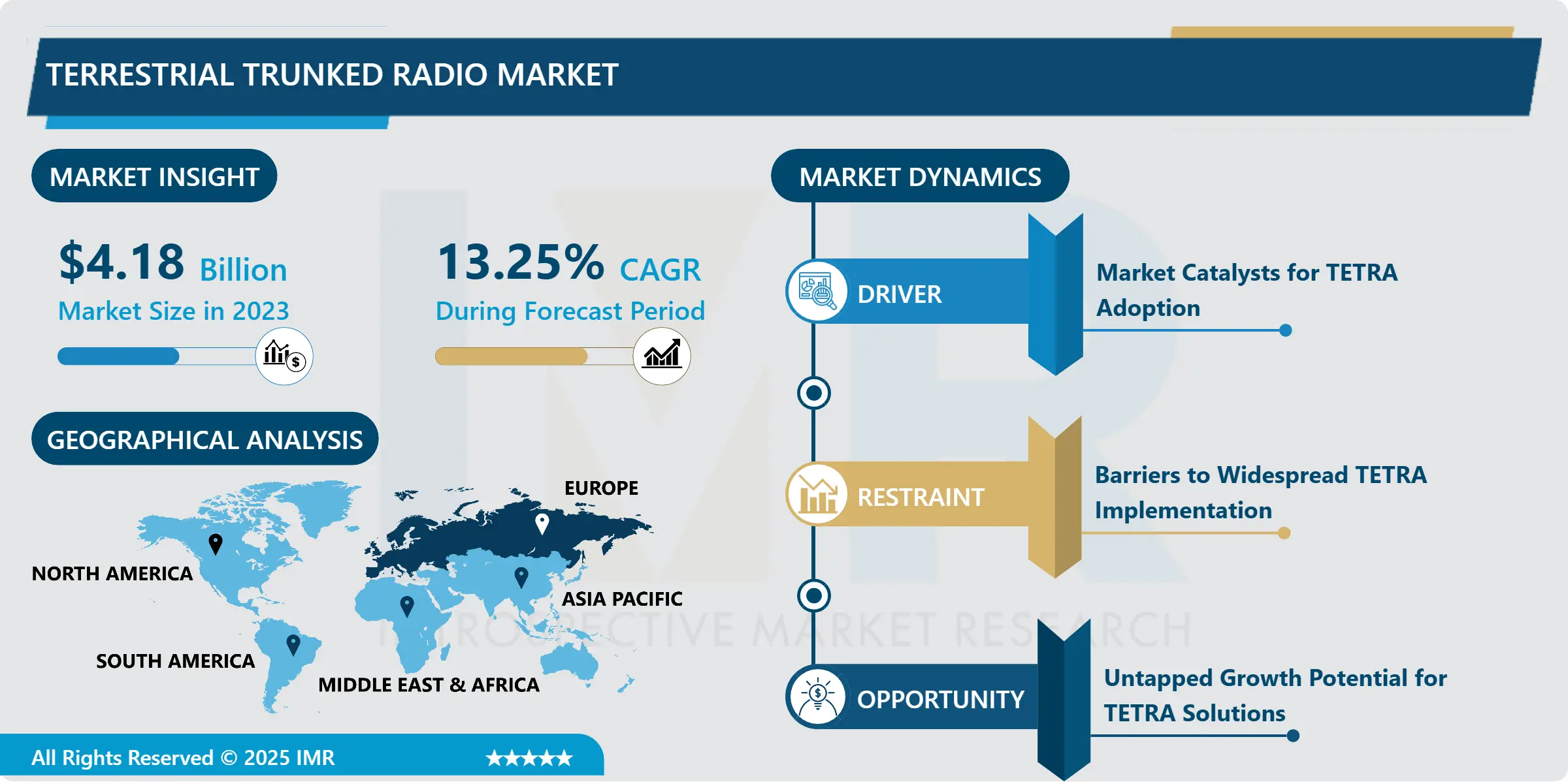 Terrestrial Trunked Radio Market Emerging Trends, Competitive Landscape & Forecast (2024-2032)