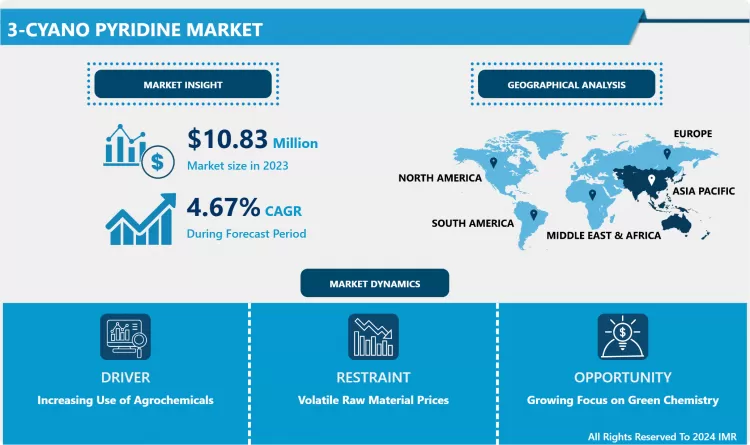 3-Cyano Pyridine Market: Global Outlook & Market Dynamics