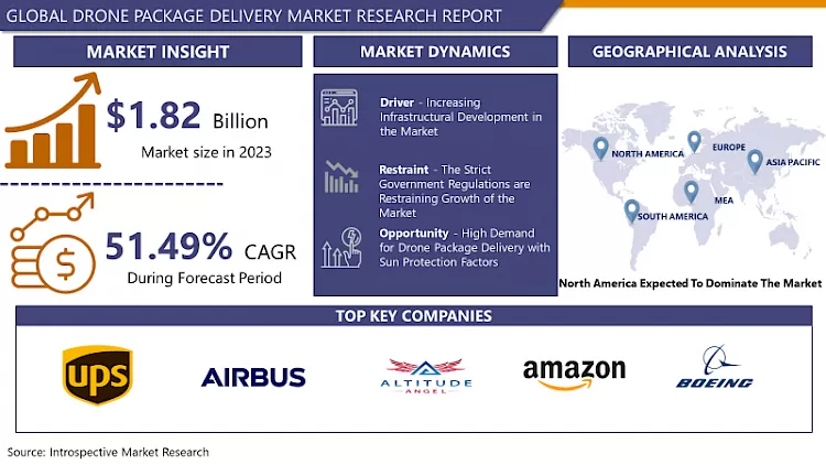 Drone Package Delivery Market - In-Depth Insights & Analysis
