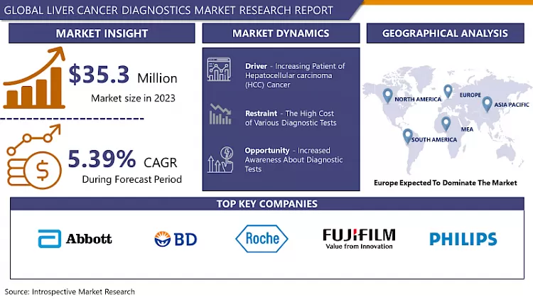 Liver Cancer Diagnostics Market- Insights & Market Analysis
