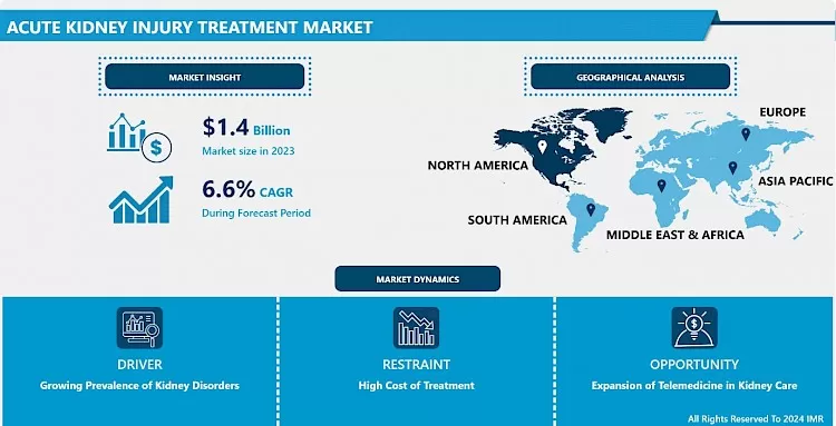 Acute Kidney Injury Treatment Market - Growth & Insight
