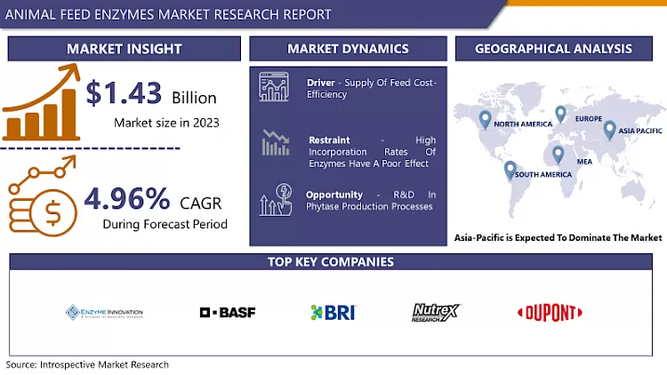 Animal Feed Enzymes Market- Global Size, Share & Industry Trends (2024- 2032)