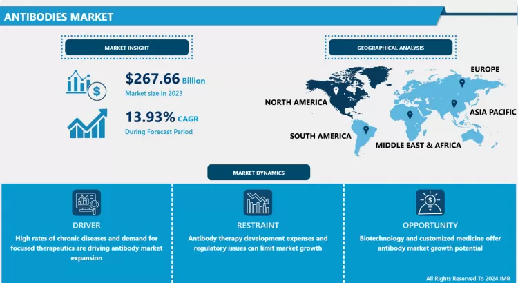 Antibodies Market - Global Share Analysis (2024–2032)