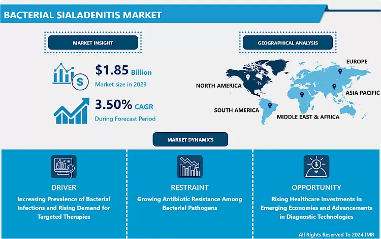 Bacterial Sialadenitis Market - Trends, Size & Outlook (2024-2032)