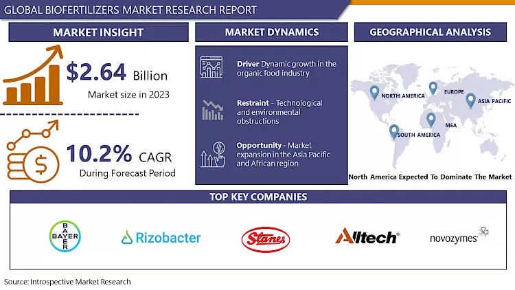 Biofertilizers Market-Current Analysis by Market Share (2024 - 2032)