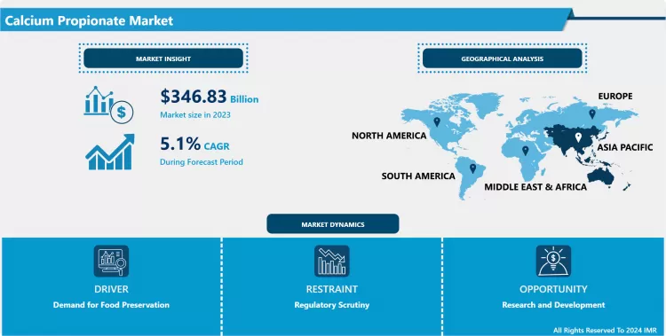 Calcium Propionate Market: Global Outlook & Market Dynamics