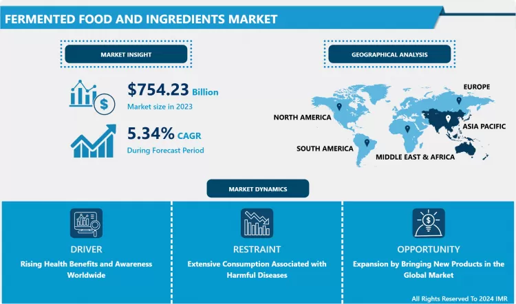 Fermented Food and Ingredients Market Industry Analysis