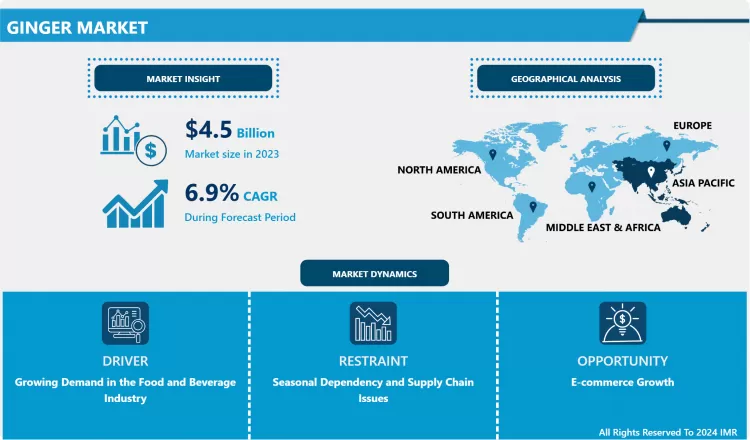 Ginger Market-Comprehensive Study Report & Recent Trends