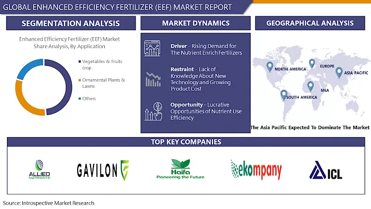 Enhanced Efficiency Fertilizer (EEF) Market - Global Industry Growth and Trend Analysis