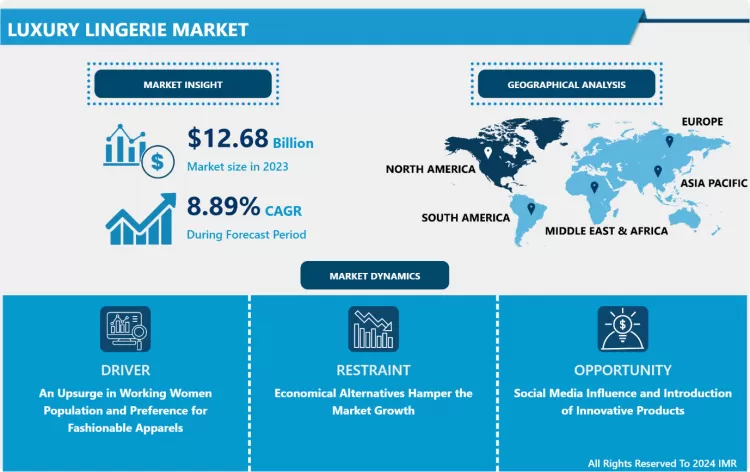 Luxury Lingerie Market - Industry Growth and Trend Analysis