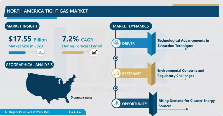 North America Tight Gas Market - Share Analysis (2024–2032)