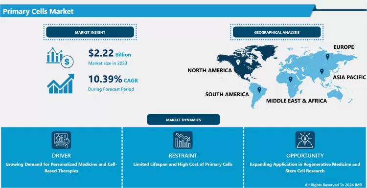 Primary Cells Market - Global Size & Industry Trends