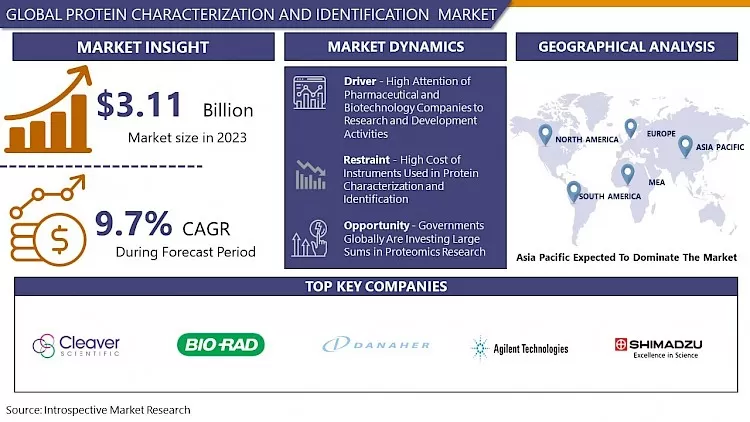 Protein Characterization and Identification Market | Global Industry Analysis 2032
