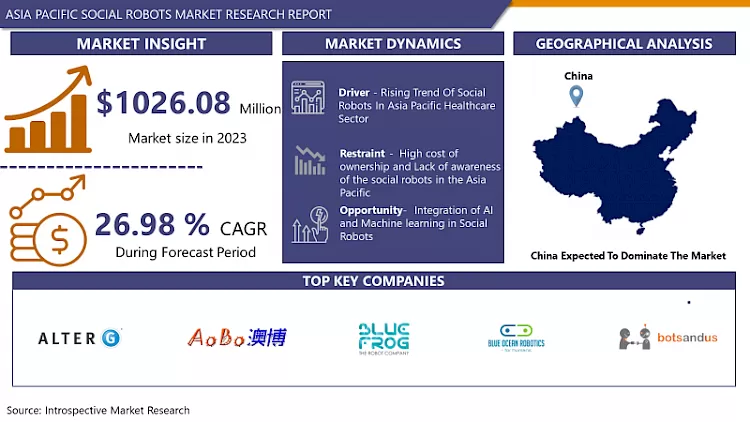 Asia Pacific Social Robots Market- In-Deep Analysis Focusing on Market Share