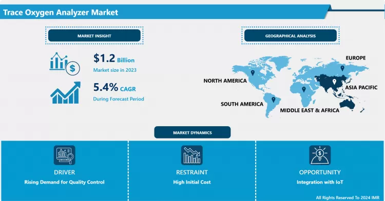 Trace Oxygen Analyzer Market - Growth Report 2024-2032