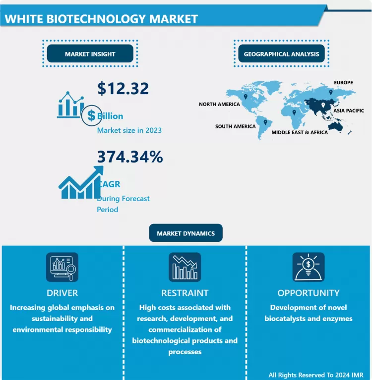White Biotechnology Market: In-Deep Analysis & Market Share